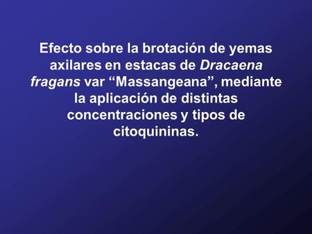 Efecto sobre la brotación de yemas axilares en estacas de Dracaena fragans var “Massangeana”, mediante la aplicación de distintas concentraciones y tipos.