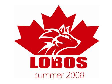OBJETIVO DEL PROGRAMA El programa de LOBOS SUMMER SCHOOL 2008, les ofrece del sistema LOBOS la posibilidad de realizar un viaje de estudios fuera del.