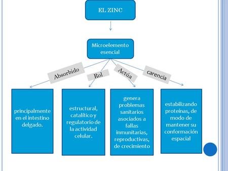 carencia EL ZINC Microelemento esencial Absorbido Actúa Rol