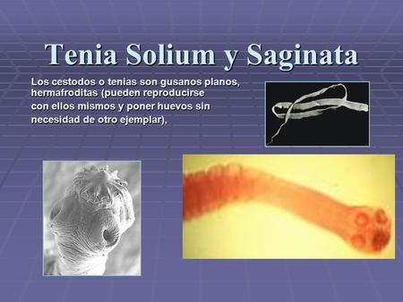 Tenia Solium y Saginata