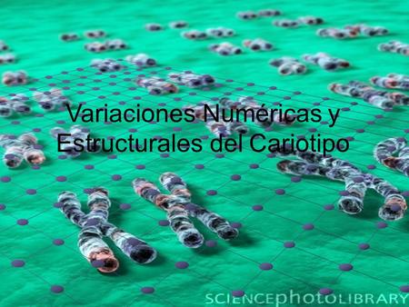 Variaciones Numéricas y Estructurales del Cariotipo