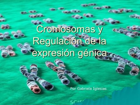 Cromosomas y Regulación de la expresión génica