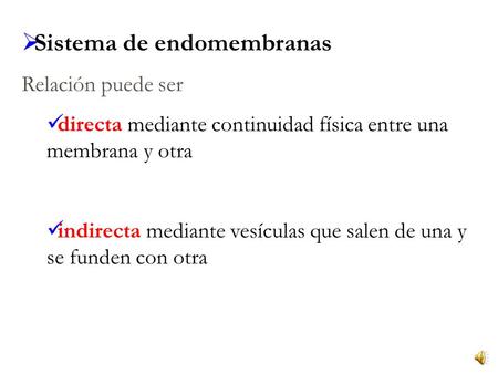 Sistema de endomembranas