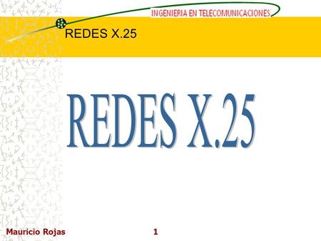 REDES X.25 Mauricio Rojas.