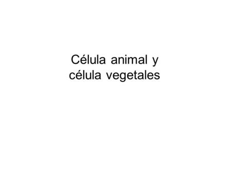 Célula animal y célula vegetales