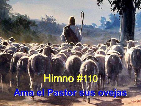 Ama el Pastor sus ovejas