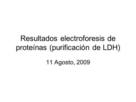 Resultados electroforesis de proteínas (purificación de LDH)