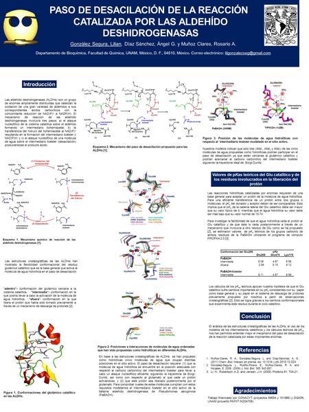 Formación del tiohemiacetal (2) Transferencia del hidruro