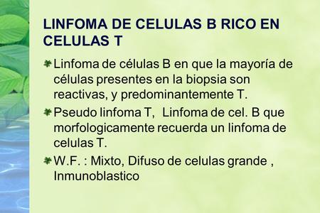 LINFOMA DE CELULAS B RICO EN CELULAS T