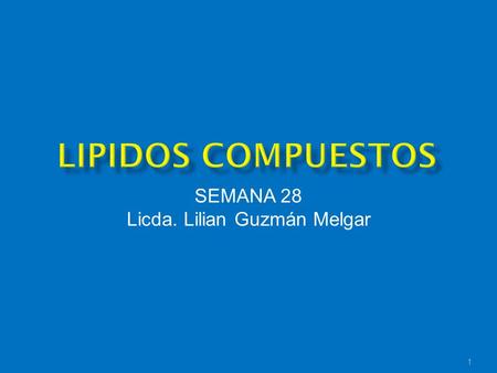 SEMANA 28 Licda. Lilian Guzmán Melgar