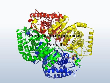Purificación de proteínas Parte II