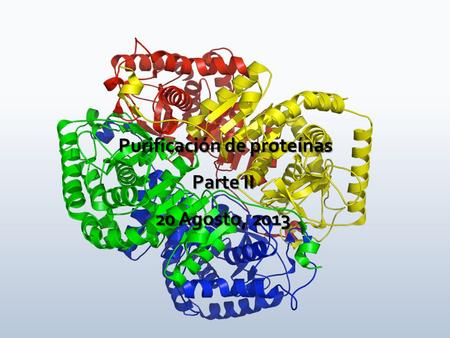 Purificación de proteínas Parte II 20 Agosto, 2013