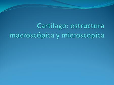 Cartílago: estructura macroscópica y microscopica
