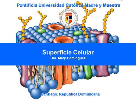 Santiago, República Dominicana Superficie Celular Dra. Mary Dominguez