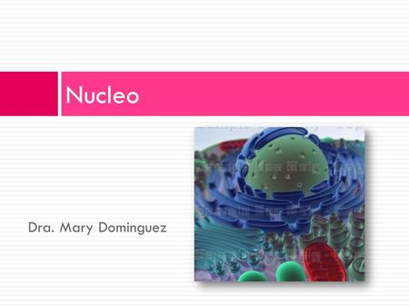 Nucleo Dra. Mary Dominguez.