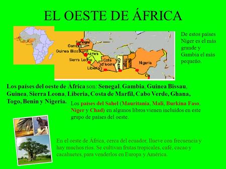 EL OESTE DE ÁFRICA De estos países Níger es el más grande y Gambia el más pequeño. Los países del oeste de África son: Senegal, Gambia, Guinea Bissau,