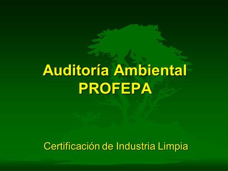 Auditoría Ambiental PROFEPA