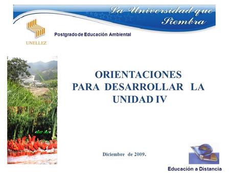 Diciembre de 2009. Educación a Distancia Postgrado de Educación Ambiental ORIENTACIONES PARA DESARROLLAR LA UNIDAD IV.