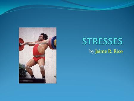 STRESSES by Jaime R. Rico.