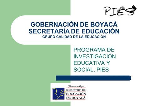 PROGRAMA DE INVESTIGACIÓN EDUCATIVA Y SOCIAL, PIES