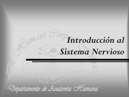 Introducción al Sistema Nervioso