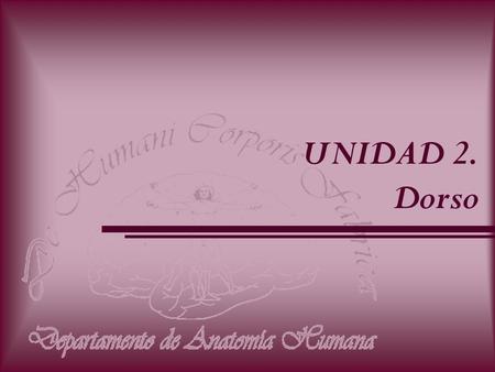 UNIDAD 2. Dorso.