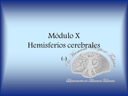 Módulo X Hemisferios cerebrales