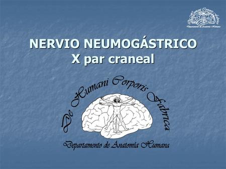 NERVIO NEUMOGÁSTRICO X par craneal