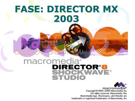 FASE: DIRECTOR MX 2003.