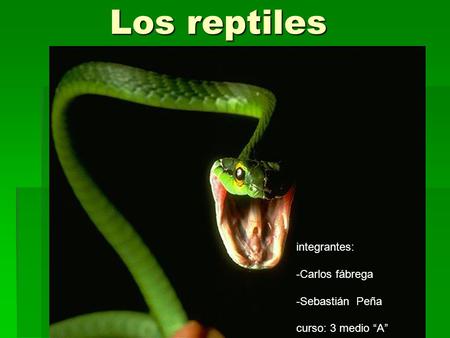 Los reptiles integrantes: -Carlos fábrega -Sebastián Peña