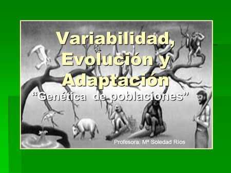 Variabilidad, Evolución y Adaptación