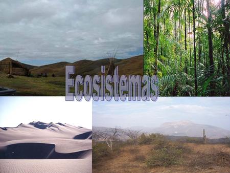 Ecosistemas.