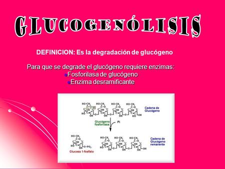 DEFINICION: Es la degradación de glucógeno