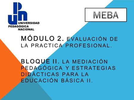 MEBA Módulo 2. Evaluación de la practica profesional.