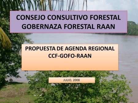 CONSEJO CONSULTIVO FORESTAL GOBERNAZA FORESTAL RAAN PROPUESTA DE AGENDA REGIONAL CCF-GOFO-RAAN JULIO, 2008.