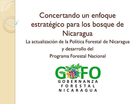 Concertando un enfoque estratégico para los bosque de Nicaragua