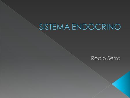 SISTEMA ENDOCRINO Rocío Serra.