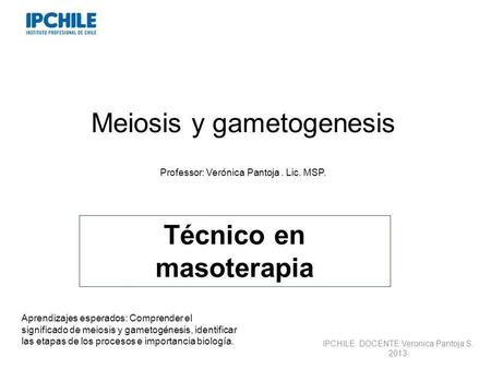 Meiosis y gametogenesis Professor: Verónica Pantoja. Lic. MSP. Técnico en masoterapia IPCHILE DOCENTE:Veronica Pantoja S. 2013 Aprendizajes esperados:
