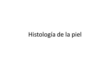 Histología de la piel.