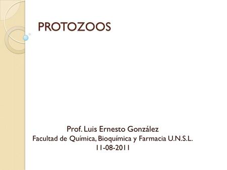 PROTOZOOS Prof. Luis Ernesto González