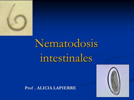 Nematodosis intestinales
