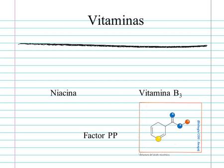 Vitaminas Niacina Vitamina B3 Factor PP.