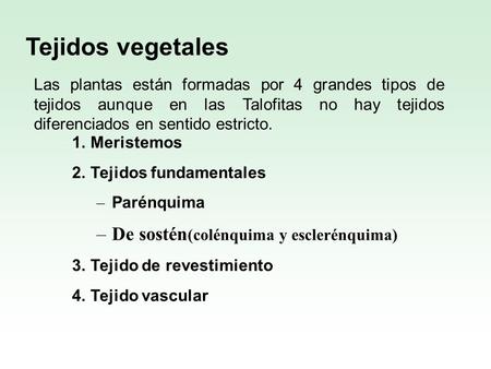 Tejidos vegetales De sostén(colénquima y esclerénquima)