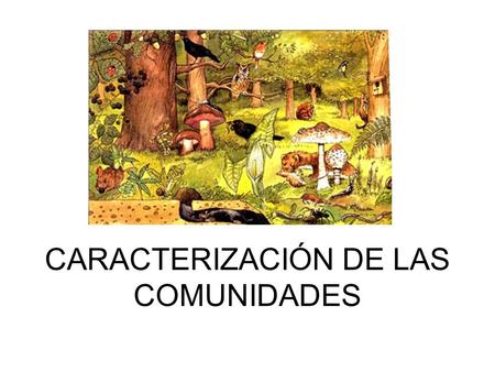 CARACTERIZACIÓN DE LAS COMUNIDADES