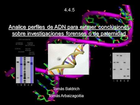 4.4.5 Analice perfiles de ADN para extraer conclusiones sobre investigaciones forenses o de paternidad Tomás Baldrich Tomás Arbaizagoitia.