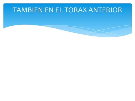 TAMBIEN EN EL TORAX ANTERIOR