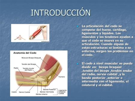 INTRODUCCIÓN La articulación del codo se compone del hueso, cartílago, ligamentos y líquidos. Los músculos y los tendones ayudan a que el codo se mueva.