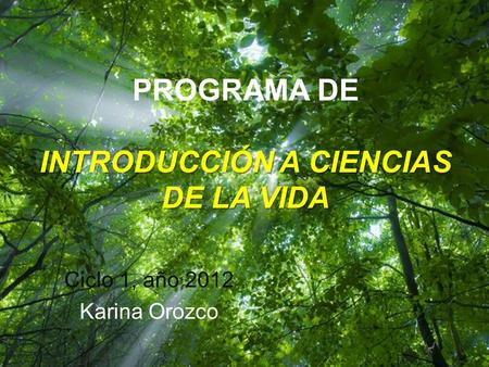 Ciclo 1, año 2012 Karina Orozco