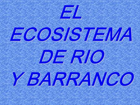 EL ECOSISTEMA DE RIO Y BARRANCO.