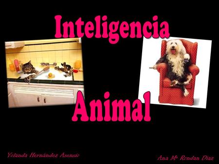 Inteligencia Animal Yolanda Hernández Asensio Ana Mª Rondan Díaz.